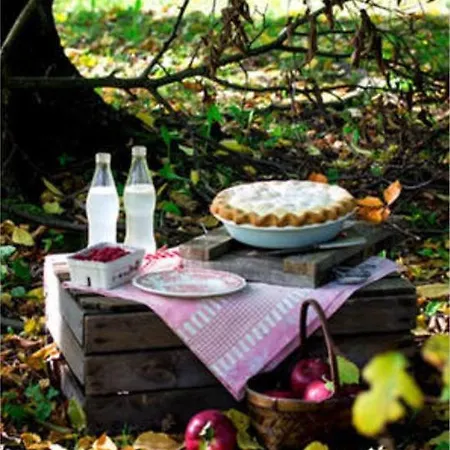 Une Cabane Dans La Foret * Chantilly
