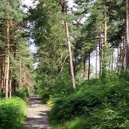 Gospodarstwo wiejskie Une Cabane Dans La Foret *